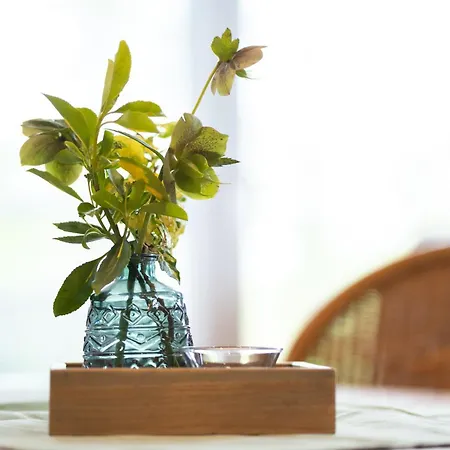 Birken Allee, 35181 Appartement