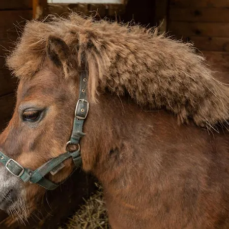 Birken Allee, 35181 Appartement