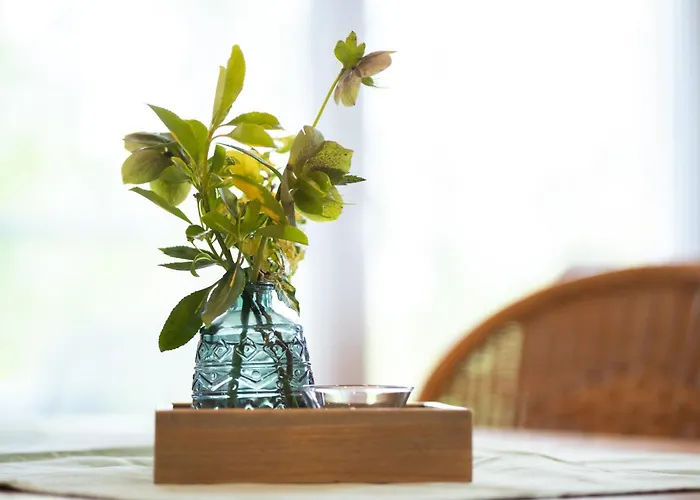 Birken Allee, 35181 Διαμέρισμα