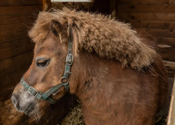 Birken Allee, 35181 Διαμέρισμα